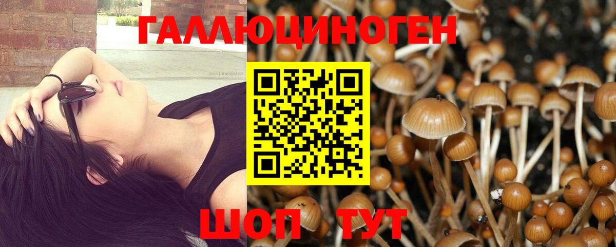 Псилоцибиновые грибы Psilocybe Воскресенск